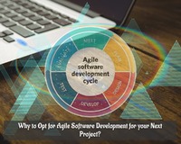 Why to Opt for Agile Software Development for your Next Project